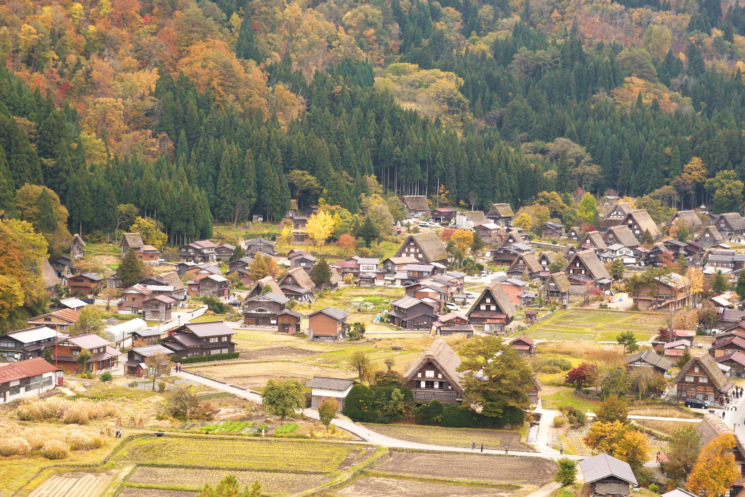 アクセス・高山観光